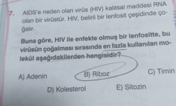 Ribozun Etkisini Azaltırsak Ne olur?