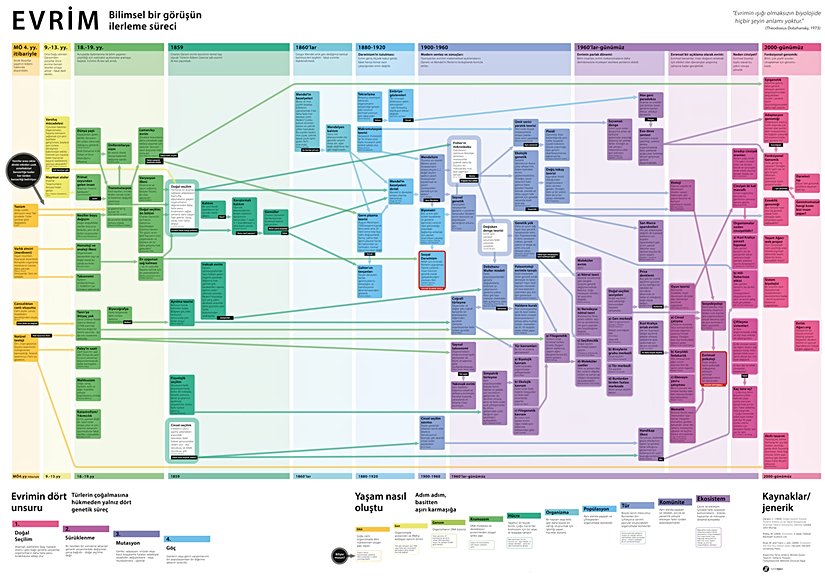 Canlılar evrimleşir. Bu bir doğa yasasıdır. Buna, evrim denir. Bu yasanın nasıl ve neden çalıştığını açıklayan bilgiler bütününe Evrim Teorisi denir. Bu teorini geliştiren, değiştiren, evrimleştiren araştırmaların süregeldiği bilim sahasına ise Evrimsel Biyoloji... Evrim Teorisi, evrimsel biyoloji çalışmaları sayesinde uzun yıllardır evrimleşmektedir. Yani evrim de, canlılar gibi evrimleşmektedir. Kötü olan yaklaşımlar elenmekte, iyi olanlar seçilip hayatta kalmaktadır. Bu iyi fikirler, araştırmalar, yaklaşımlar, tıpkı mutasyona uğrayan canlılar gibi "fikir mutasyonuna" uğrayarak bir miktar farklılaşır. Bu mutant fikirlerden de en iyileri (en açıklayıcı, isabetli, doğru olanları) hayatta kalır ve çoğalır, diğerleri elenir. Böylece bir fikir, basit bir adamın aklında dönen olası bir açıklamadan, insanlık tarihinin gördüğü en güçlü bilim sahasına dönüşür. İşte bu görselde, evrimin evriminin tarihini inceleyeceğiz. Dev boyutta çıktısını odanıza veya okulunuza asabilir, birçok kişinin bu bilgilerden faydalanabilirsiniz. Aşağıdaki kaynak bağlantısına tıklayarak büyük boyda görebilirsiniz.