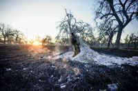 Crabapple wildfire burns over 9k acres near Fredericksburg as FEMA OKs grants