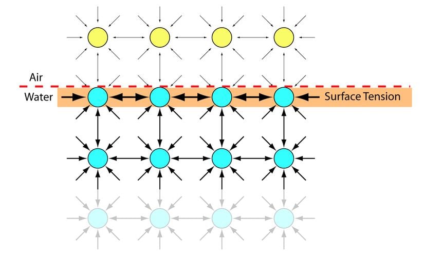 Suyun yüzeyindeki moleküllerin, suyun içindeki moleküller kadar çok sayıda komşusu olmadığı için (yani yüzeydeki moleküllerin komşularının bir kısmı su değil de hava molekülleri olduğu için), bu su molekülleri arasında daha güçlü bir çekim kuvveti oluşur ve buna bağlı olarak, suyun en üst katmanında yüzey gerilimi ortaya çıkar.