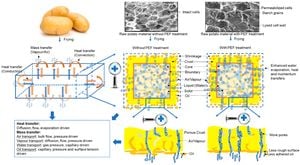 New Imaging Technique Reveals Deep-Frying Oil Absorption Dynamics