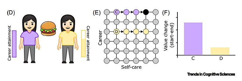 Öznel hedonik deneyim için yeni bir model.