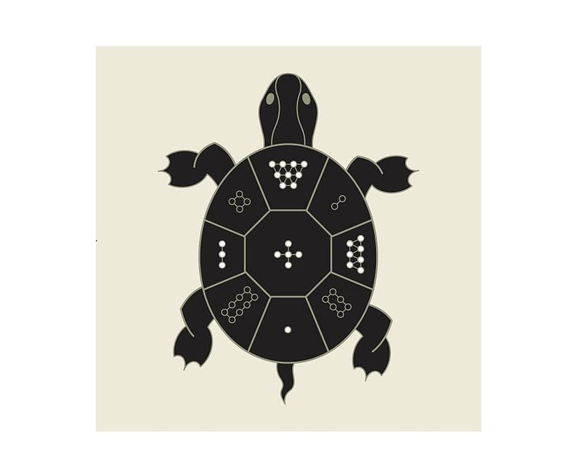 Lo Shu kaplumbağası.