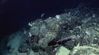 Next-Generation Water Satellite Maps Seafloor From Space - NASA