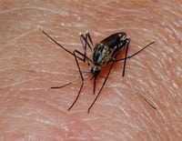 Single-dose malaria treatment using four drugs achieves high cure rates in clinical trial