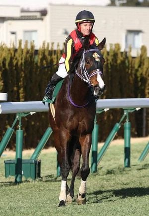 Links Tipp Aims For Oka Sho After Strong Kisaragi Show