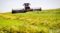 China to impose tariffs on Canadian canola, agricultural products