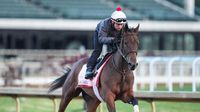 Which horses will run in 2025 Kentucky Oaks? Odds, contenders, favorites, post positions