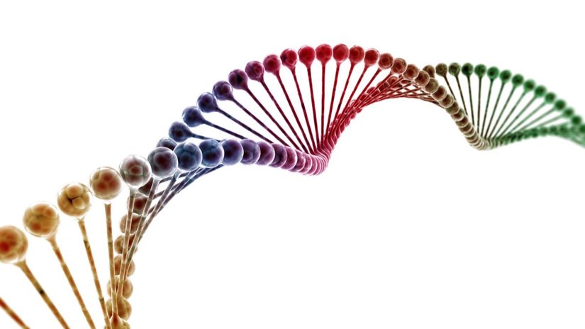 DNA, Veri Taşıma Kapasitesi Olan Milyonlarca Genetik Molekülden Sadece Biri Olabilir!