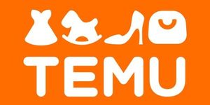 Temu Pulls UK Cleaning Brush After Child Injury