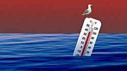 Okyanuslar 10.000 Yıl Öncesine Göre 15 Kat Daha Hızlı Isınıyor!