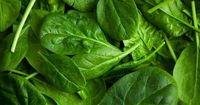 Supermarkets in Australia pull dozens of popular salad products