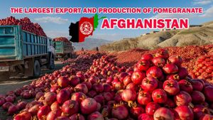 Afghanistan And Yemen Revive Export Prospects Amid Challenges