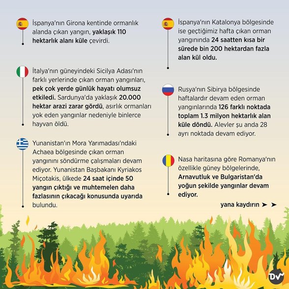 Hangi ülkeler yangınla mücadele ediyor (2)