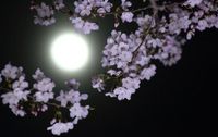 Полнолуние - время перемен: как начать новую жизнь и найти свое счастье