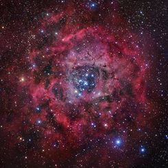 The Rosette Nebula