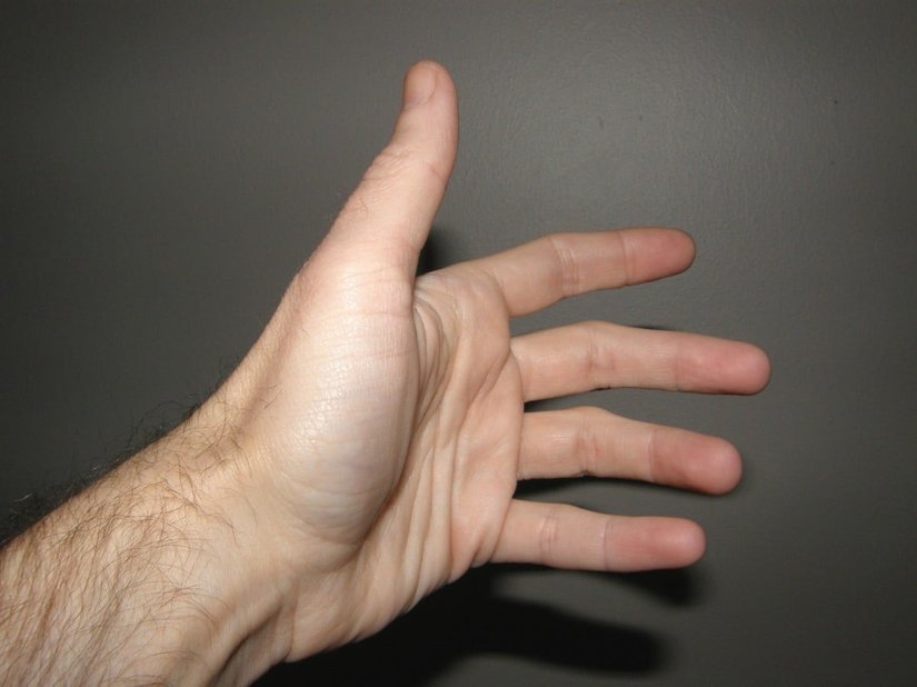 Mastürbasyon, bir canlının kendi cinsel organlarını uyararak (stimüle ederek) genellikle orgazm noktasına kadar ulaşmasına verilen isimdir.