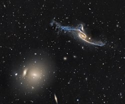 Pavo'daki Devasa Galaksiler