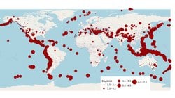 14 Mayıs 2025 Neiafu, Tonga Depremi