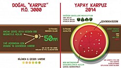 Karpuz, Yapay Seçilim Yoluyla Nasıl Evrimleşti? Rönesans Tabloları, Karpuzların Ata ve Kuzenlerini Araştırmamıza Nasıl Yardımcı Olabilir?