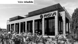 Rovi's Profit Warning Triggers Sharp Stock Plummet