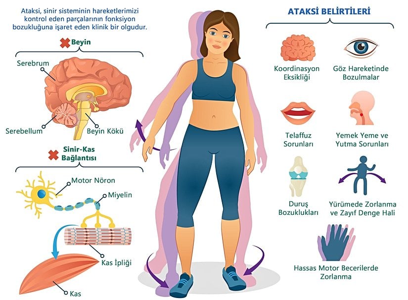 Ataksi ve Belirtileri (Semptomları)