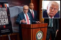 Chuck Schumer and Hakeem Jeffries ‘demand’ meeting with Trump after Dems stopped bill to avert looming shutdown