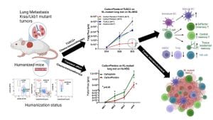 Promising Strategy Revives Immune Response Against LKB1-Mutant Lung Cancer