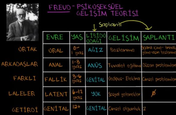 Psikoseksüel Gelişim
