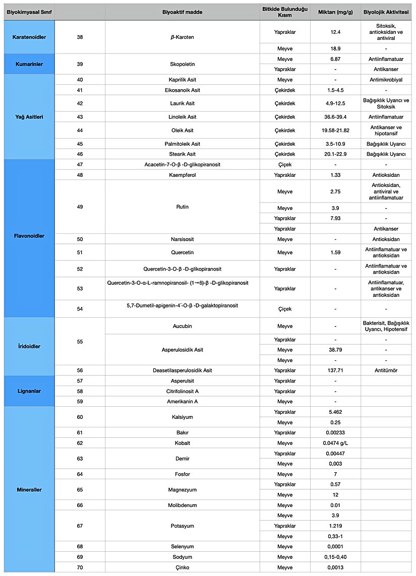 Morinda citrifolia'da bulunan bazı biyoaktif maddeler