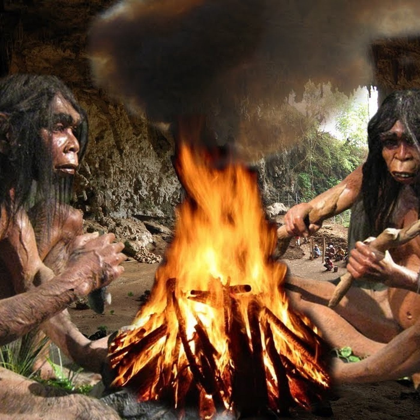 Evrim Ağacı ile Bilime Dair Her Şey!