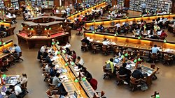 Michael Apple ve Eleştirel Okul Teorisi: Eğitim, Toplumu Gerçekten Değiştirebilir mi?