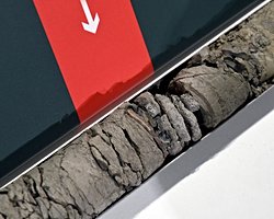 Denver’daki Doğa ve Bilim Müzesi’nin Otoparkında Dinozor Fosili Bulundu.