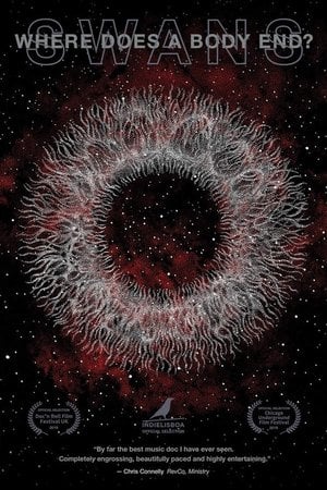 Swans: Where Does a Body End?