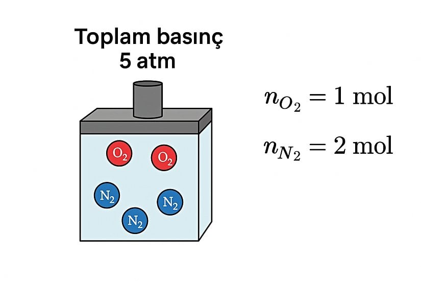 Bir kap içerisinde verilen 2 mol azot ve 1 mol oksijen gazlarının yaptıkları toplam basıncı görmektesiniz. Mol sayılarını ve toplam basıncı bildiğimizde, gazların kısmi basınçlarını da bulabiliriz.