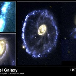 Cartwheel of Fortune
Credit: