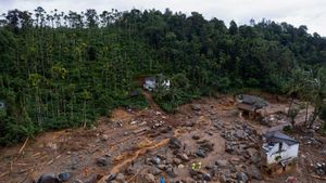 Kerala Demands Federal Aid Amidst Wayanad Landslide Crisis