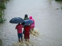 Death toll rises to 52 in Nepal as heavy rains trigger landslides, floods - The Tribune