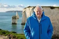 How to watch Ocean with David Attenborough – the broadcaster's new film