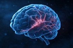 Otizm Geninin Beyin Devrelerindeki Etkisi Haritalandı!