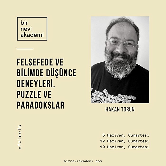 Felsefede ve Bilimde Düşünce Deneyleri, Puzzle ve Paradokslar