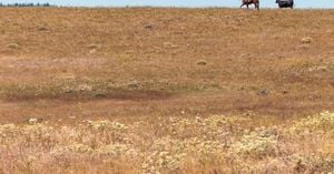 Historic Water Restrictions Hit Kittitas County Amid Drought