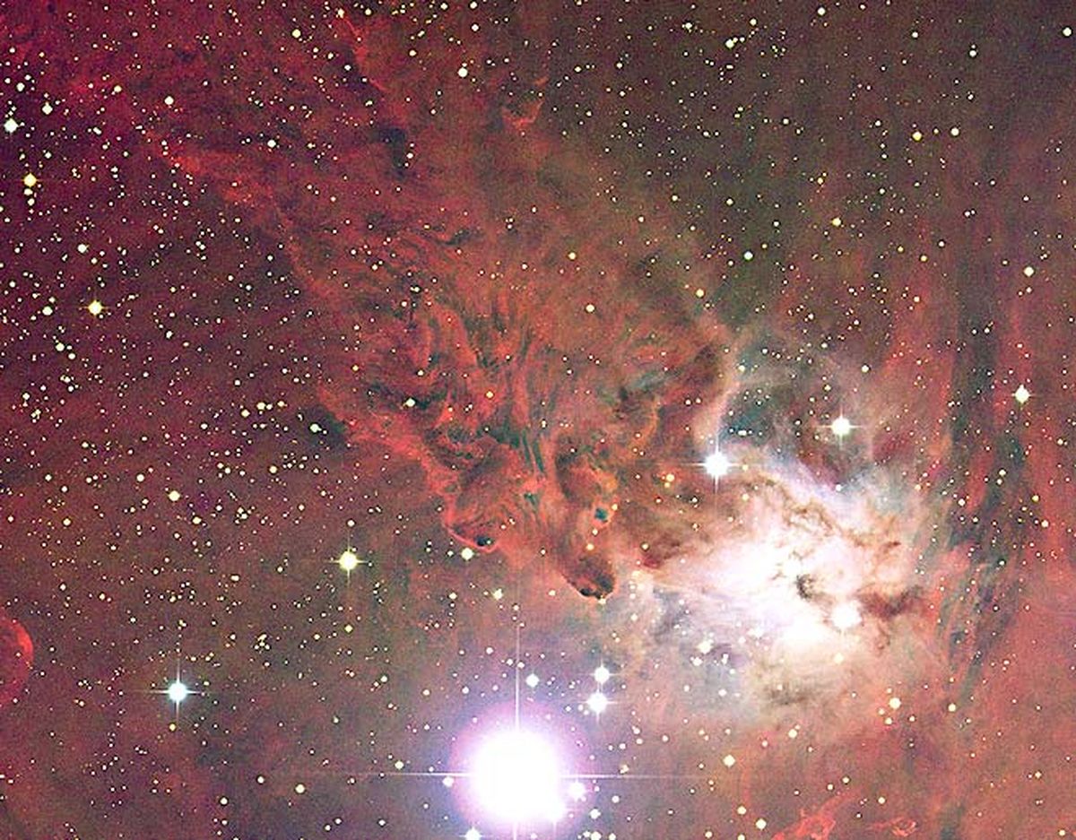 The Fox Fur Nebula