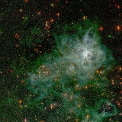 30 Doradus: Tarantula Bulutsusu
