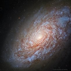 NGC 4414: Topaklanmış Sarmal Galaksi