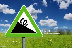 Bitkiler Karbonu Beklenenden Daha Kısa Süre Tutuyor!