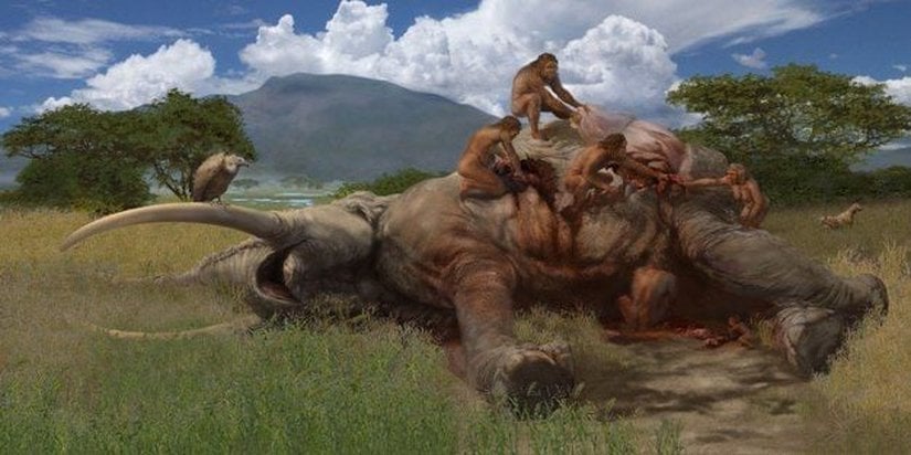 Görsel 3. Kenya’daki Olorgesailie’da yaklaşık 1 milyon yıl önce Homo erectus tarafından bir fili kesip doğrama işleminin canlandırımı.