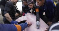 Endangered pink river dolphins face a rising mercury threat in the Amazon