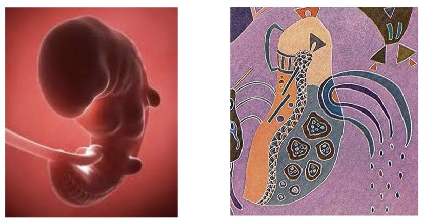 Embriyo ve Kandinsky’nin Öfkeli Elan eserinden detay