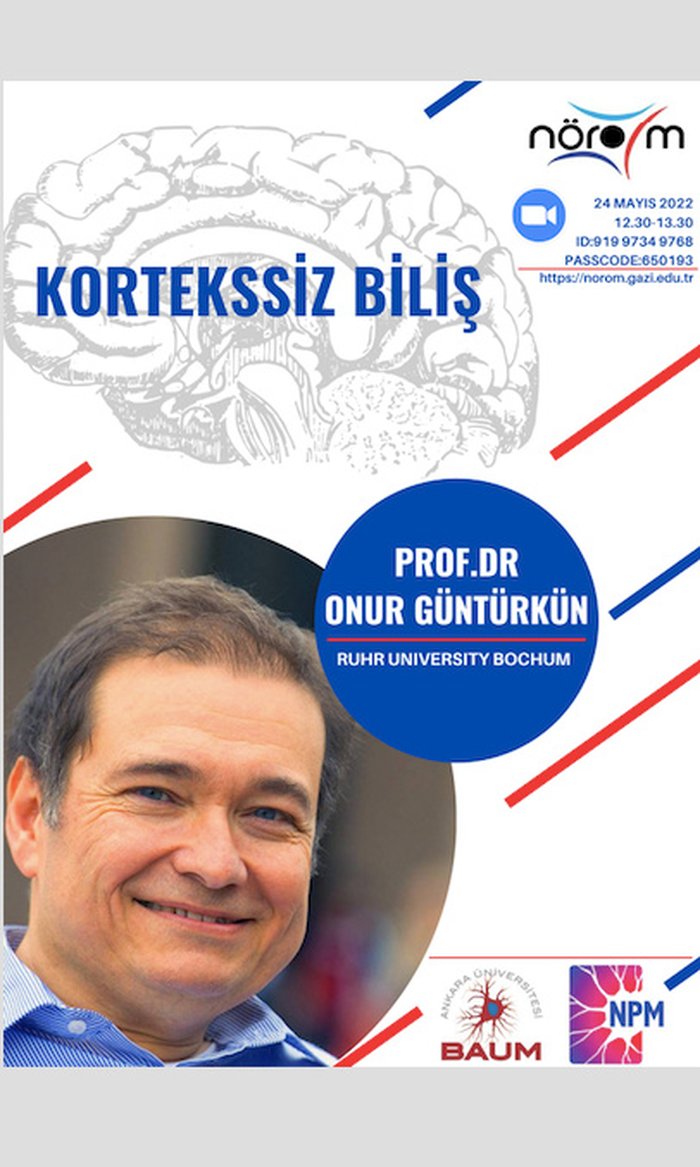 Kortekssiz Biliş - NÖROM Seminerleri